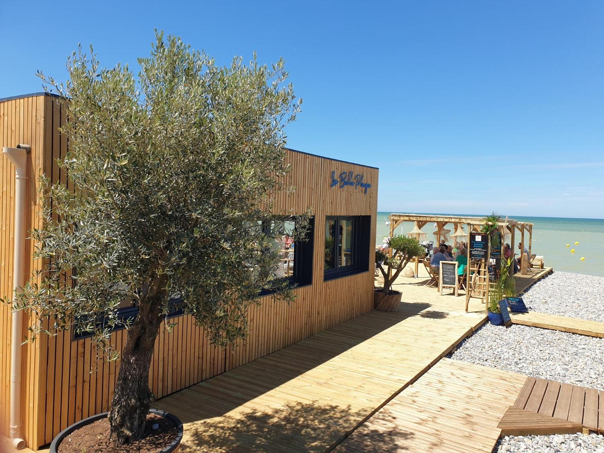 "Le Juguili" 46M2 En Front De Mer - 4 Personnes - Animaux Ok - Entierement Renove - Haut De Gamme - Wifi Mers-les-Bains Exterior foto