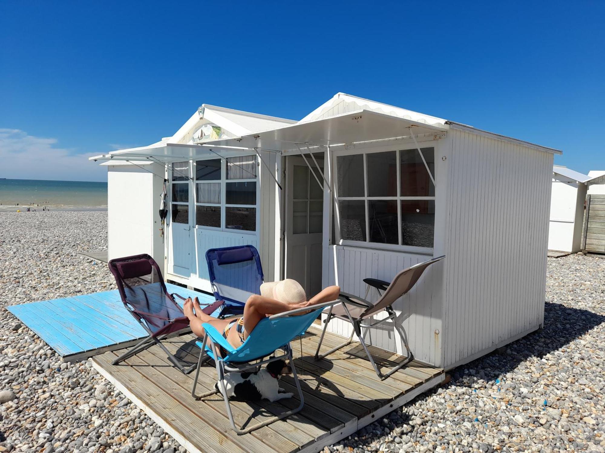 "Le Juguili" 46M2 En Front De Mer - 4 Personnes - Animaux Ok - Entierement Renove - Haut De Gamme - Wifi Mers-les-Bains Exterior foto